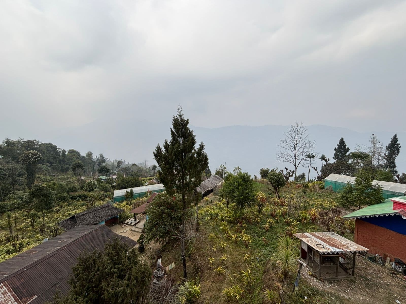 Aerial view of homestay grounds with misty hills