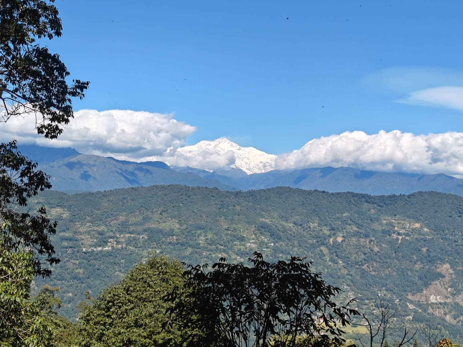 Kanchenjunga mountain range viewed from Norbukhang Homestay