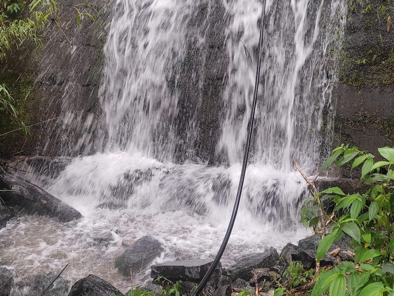 Small forest waterfall over mossy rocks