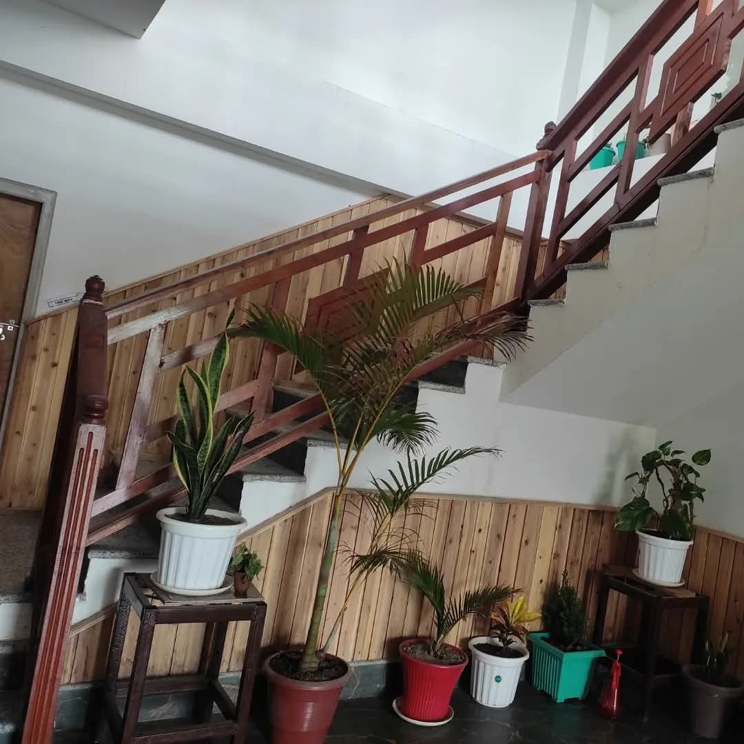 Wooden staircase and lobby with potted plants