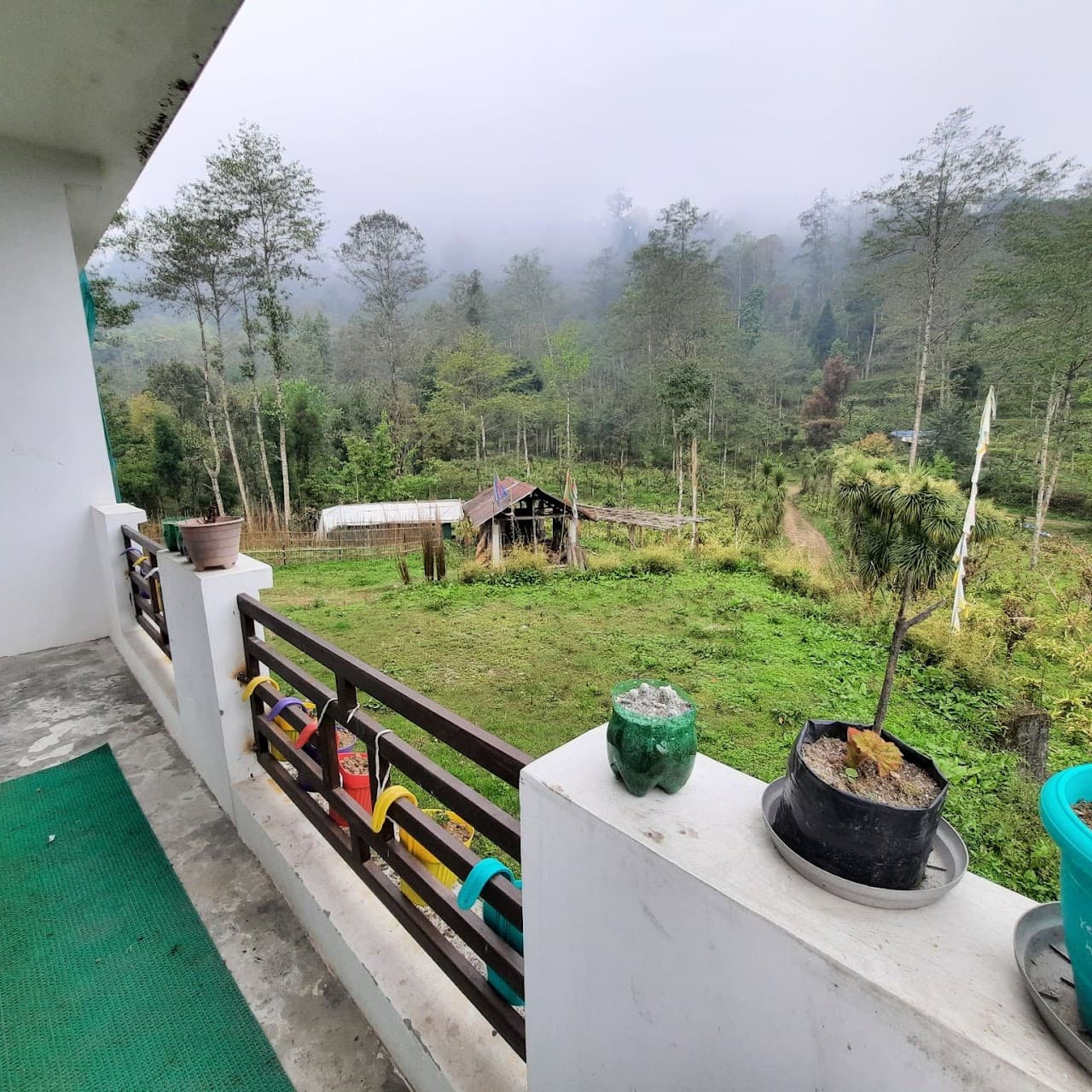 Forest view from a private balcony